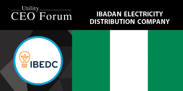 Ibadan Electricity Distribution Company